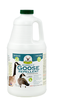 Goose Repellent Half Gallon Concentrated